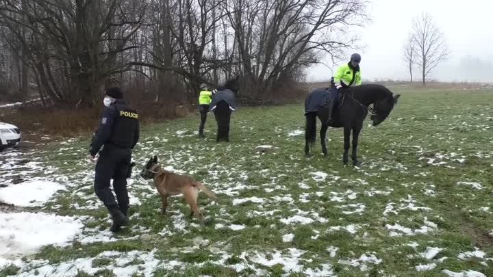 V kraji můžete nově potkávat policejní hlídky na koních 