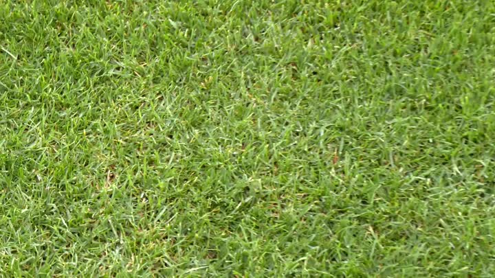 FK Turnov se dočkal nového trávníku