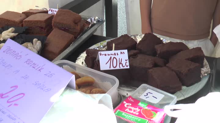 Školní jarmark podpořil charitativní projekt