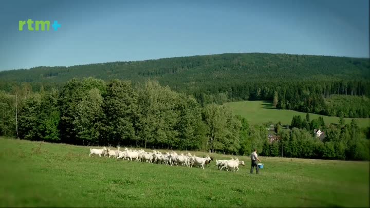 Krásy Křišťálového údolí - Kozí farma Pěnčín