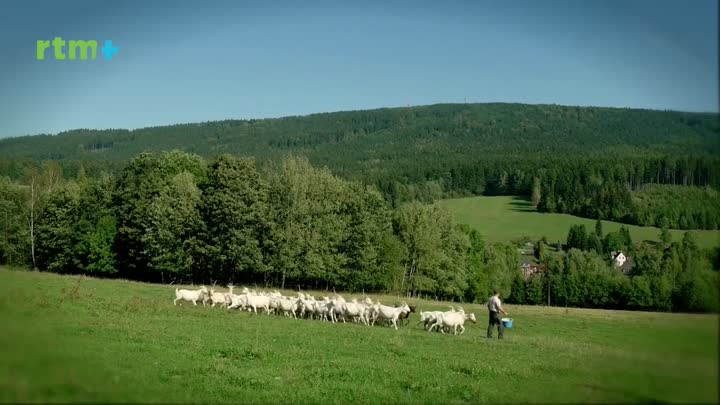 Krásy Křišťálového údolí - Kozí farma Pěnčín