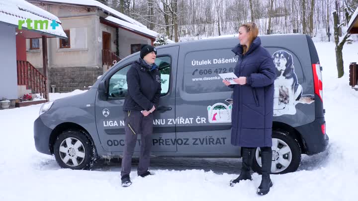 Zeptali jsme se: Jak se daří útulkům?
