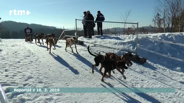 Archivní okénko - 59. díl