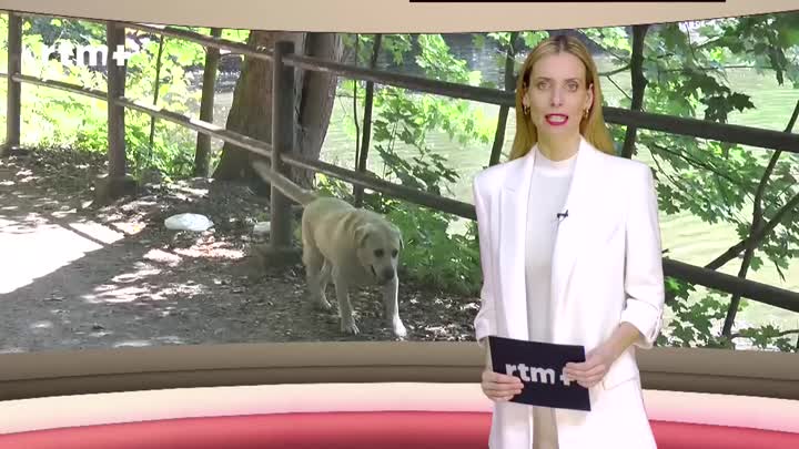 Liberecký magazín o veřejných prostranstvích