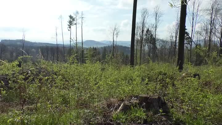 Na Špičáku ve Varnsdorfu bude vyhlídka 