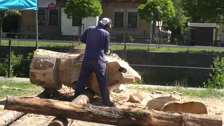 Děti ve Frýdlantu navrhly nové sochy pro park 