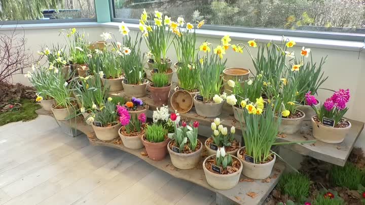 Botanická zahrada v Liberci přivítala jaro