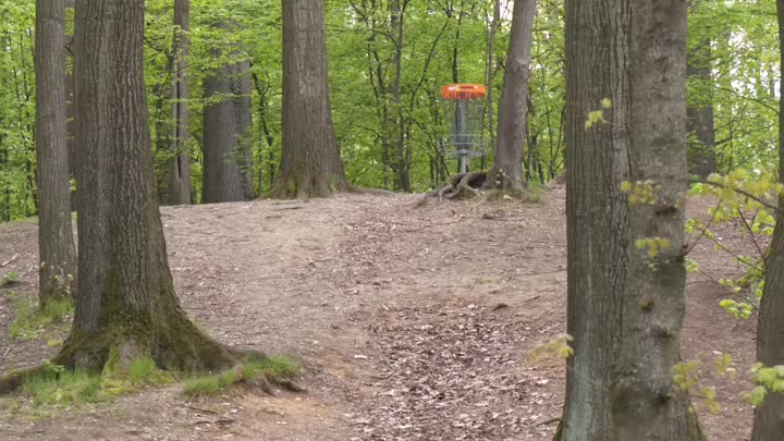 Frýdlant získal les u Střelnice