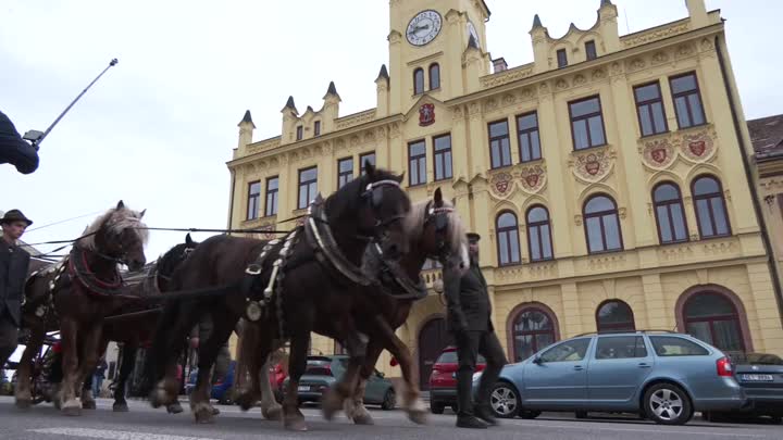 Lomnice hostila Krajský den koně