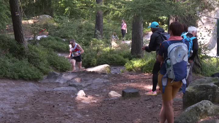 Koberovy uspořádaly běh na Sokol