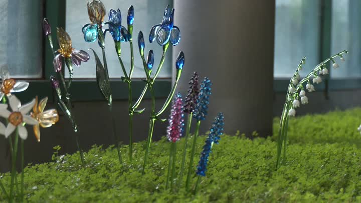 Botanická zahrada v Liberci ožila nevšední výstavou