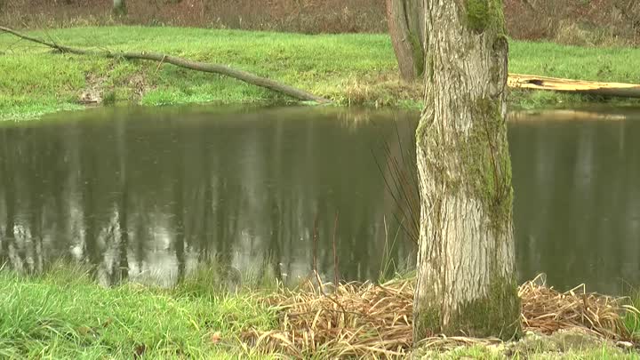Kraj se zapojí do projektu na ochranu klimatu