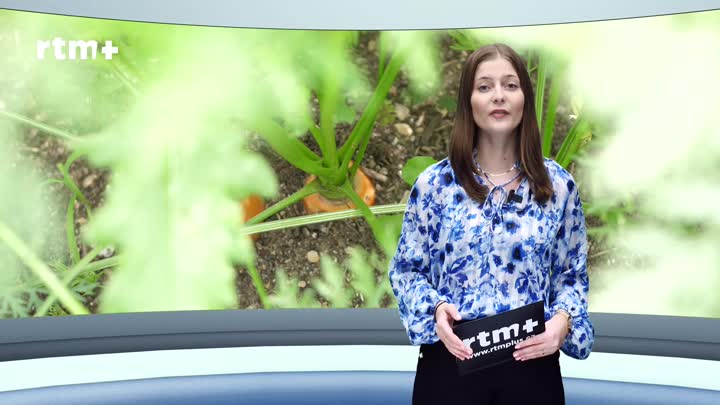 Krajský magazín o on-line tržišti