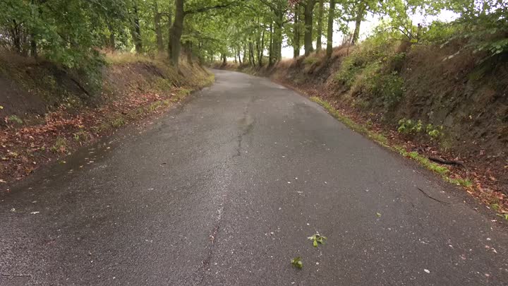 Kraj letos opraví silnici z Hrádku do Rynoltic