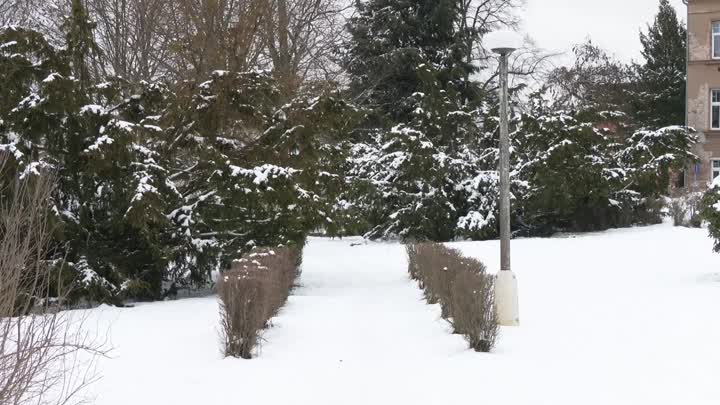 Jablonec chce získat dotaci na obnovu parku