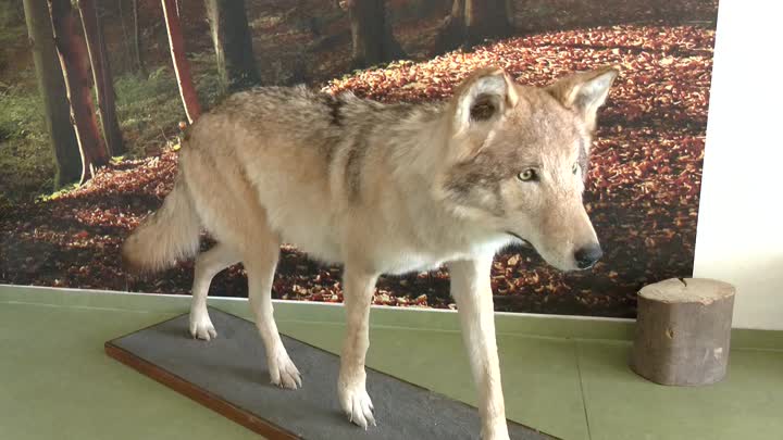 Kraj podpoří pět projektů v oblasti životního prostředí