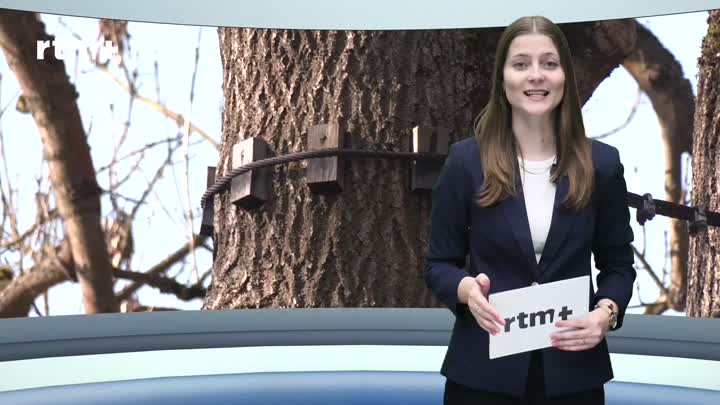 Železnobrodský magazín - březen 2026