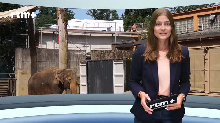 Krajský magazín o slonici Bale